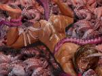 octopodes octopus tentacle_rape tentacles_everywhere // 575x432 // 121.0KB