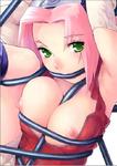 Naruto Sakura bondage // 447x633 // 44.1KB