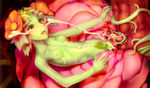 alraune flower monster_girl sex // 1200x705 // 153.7KB